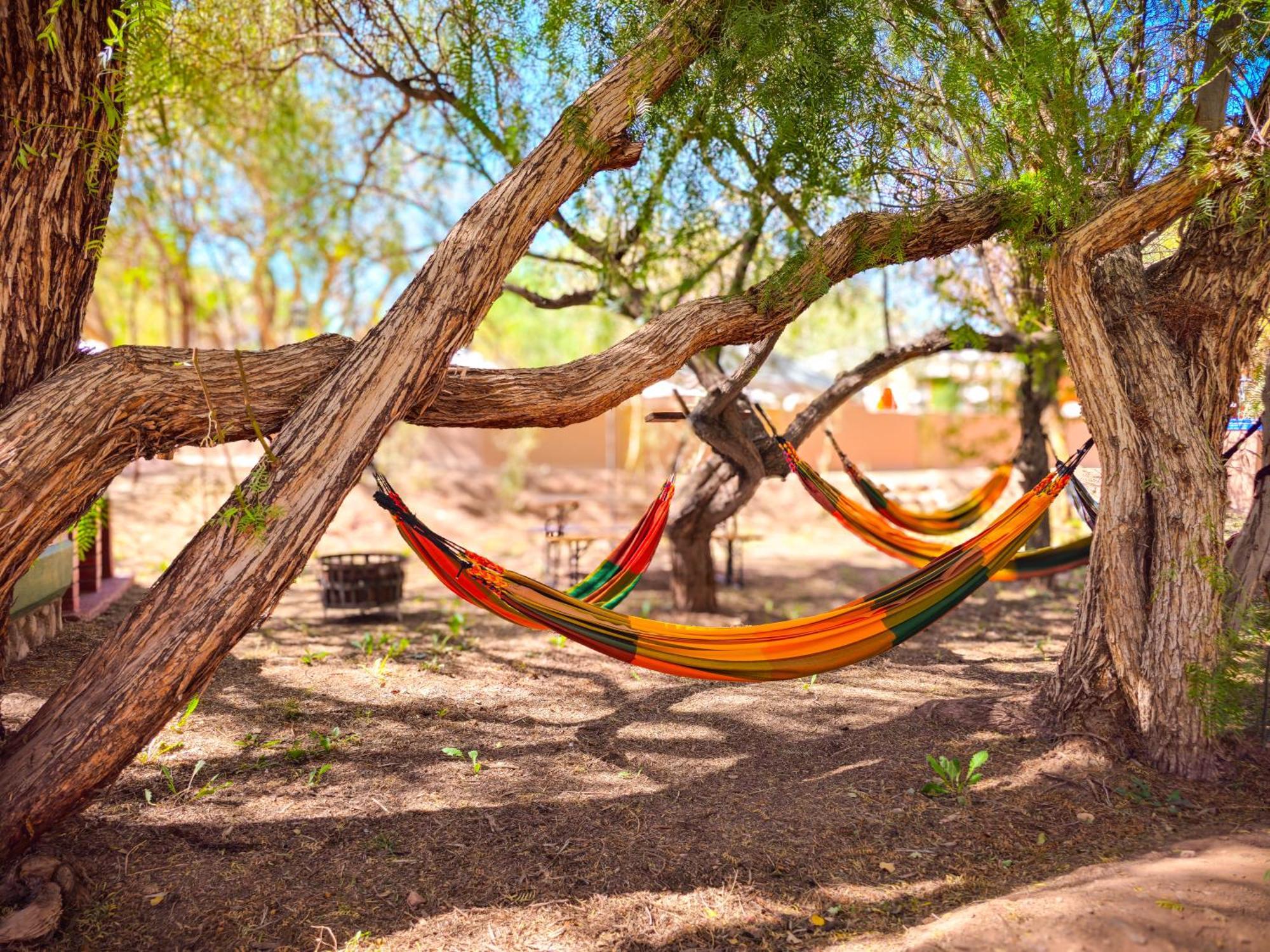 Lodge Ancar Atacama San Pedro de Atacama Exterior photo